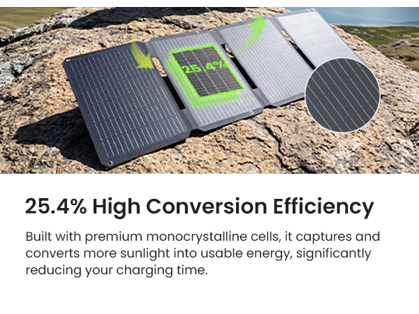 GEYOTO S45 25.4% conversion