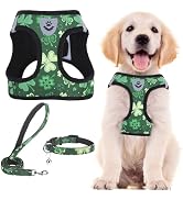 PUPTECK Adjustable Dog Harness Collar and Leash Set Step in No Pull Pet Harness for Small Medium ...