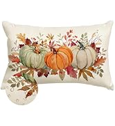 RABUSOFA Fall Pillow Covers 12x20 Inch Outdoor Waterproof Thanksgiving Autumn Orange White Green ...