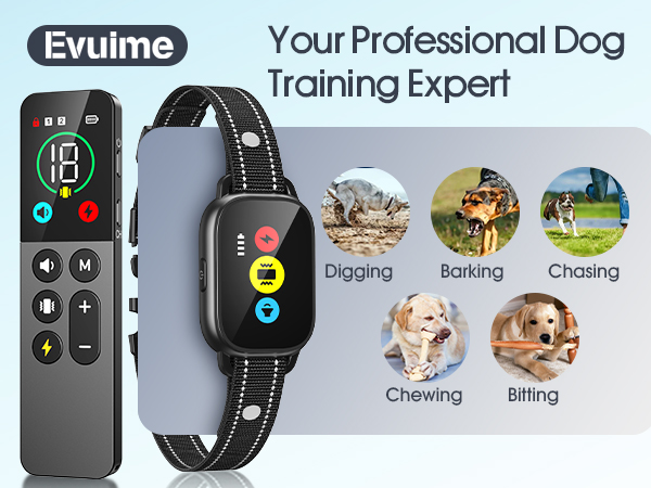 dog training collar