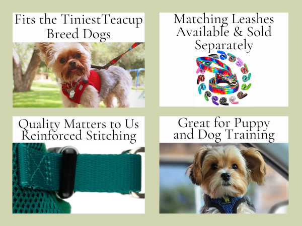 dog harness for small dogs dog harness for xxs dogs dog harness fog harness do harness