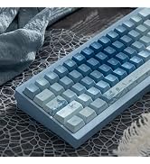 152 Keys Custom PBT Dye Sub Keycaps Cherry Profile Blue Rose Keycap Set Fit for 61/64/75/84/Alice...