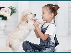 Puppy Training Pee Pad
