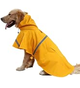 Large Dog Raincoat