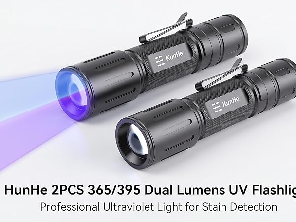 blacklight for pet urine