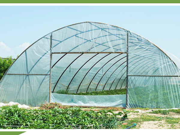 Clear Tarp Waterproof With Grommets