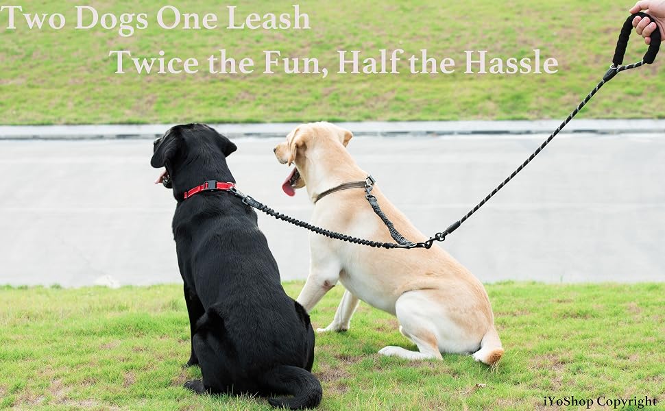 double dog leash