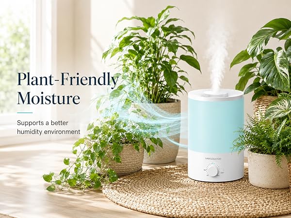 humidifier