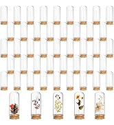 Mezchi 50 Pack Glass Cloche with Cork Base, 40 ml Mini Glass Domes for Display, 3 Inch Decoration...