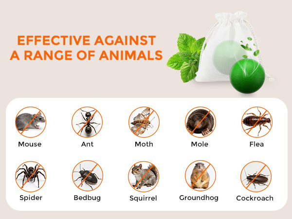 mouse repellent