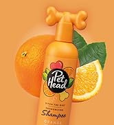 Ditch the Dirt Shampoo