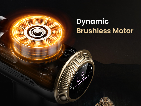 Dynamic Brushless Motor