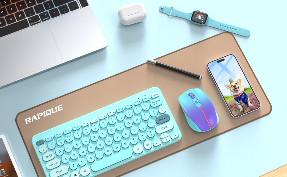 RAPIQUE R110 Bluetooth Mouse ??