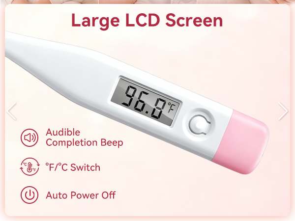 Large LCD Screen