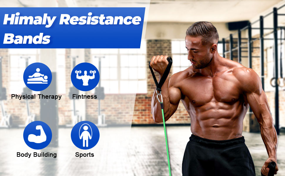 Exercise Bands