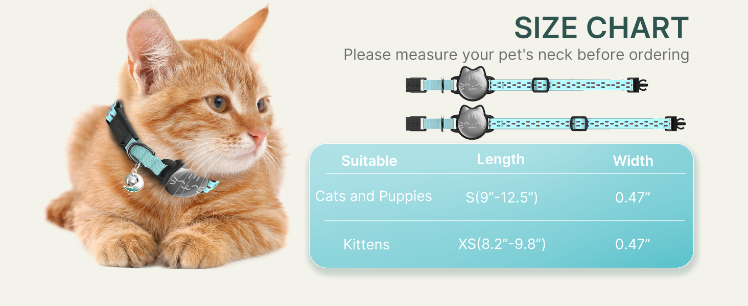 cat collar