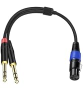 6.35mm Dual TRS to XLR Cable 1.5 FT, Dual 1/4 TRS Male to XLR Female Audio Cable, Microphone Y Sp...