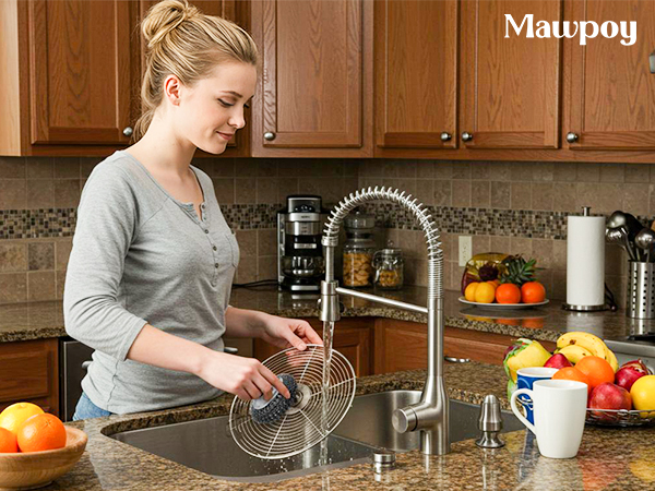 stainless steel scrubber