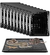 Qualirey 10 Pack Jumbo Rat & Mouse Glue Traps, Larger and Heavy Duty Mouse Traps Indoor for Home,...