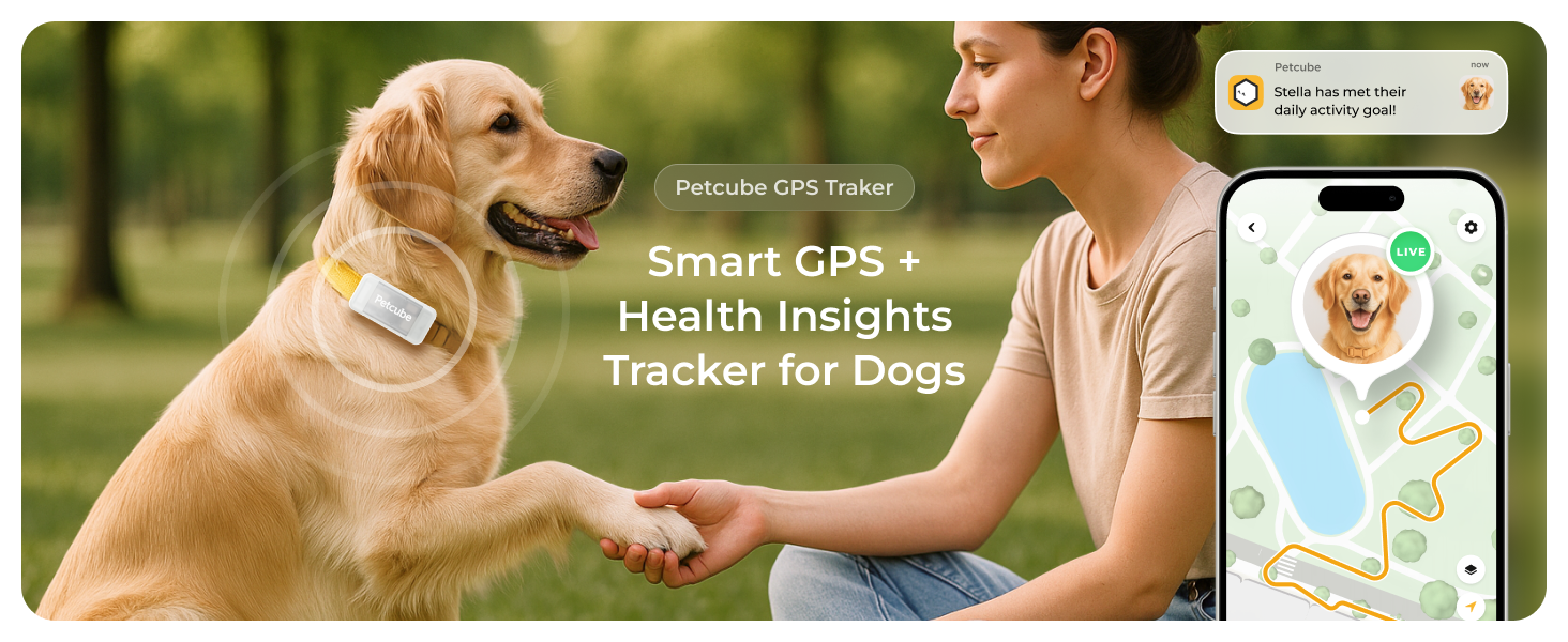 Petcube GPS Tracker for dogs