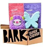 Super Chewer by BarkBox Monthly Subscription Box