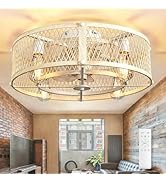 Depuley Flush Mount Ceiling Fan: 20" Caged Ceiling Fans with Lights and Remote App Control for Ki...
