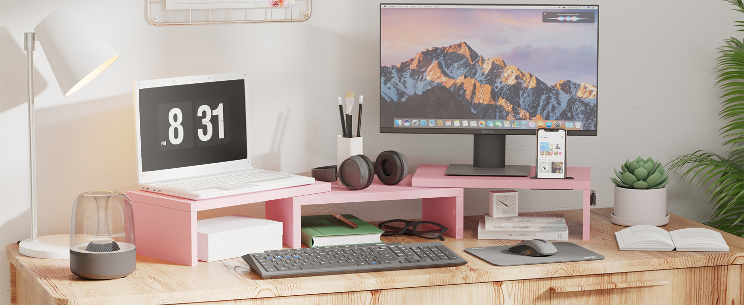 Dual Monitor Stand Riser