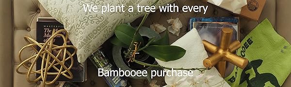 Bambooee as seen on SharkTank