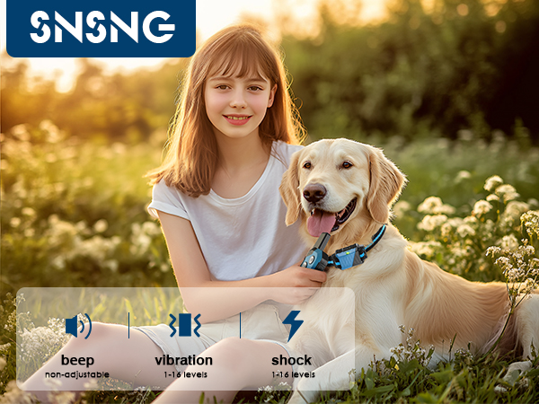 Snsng Dog Training Collar