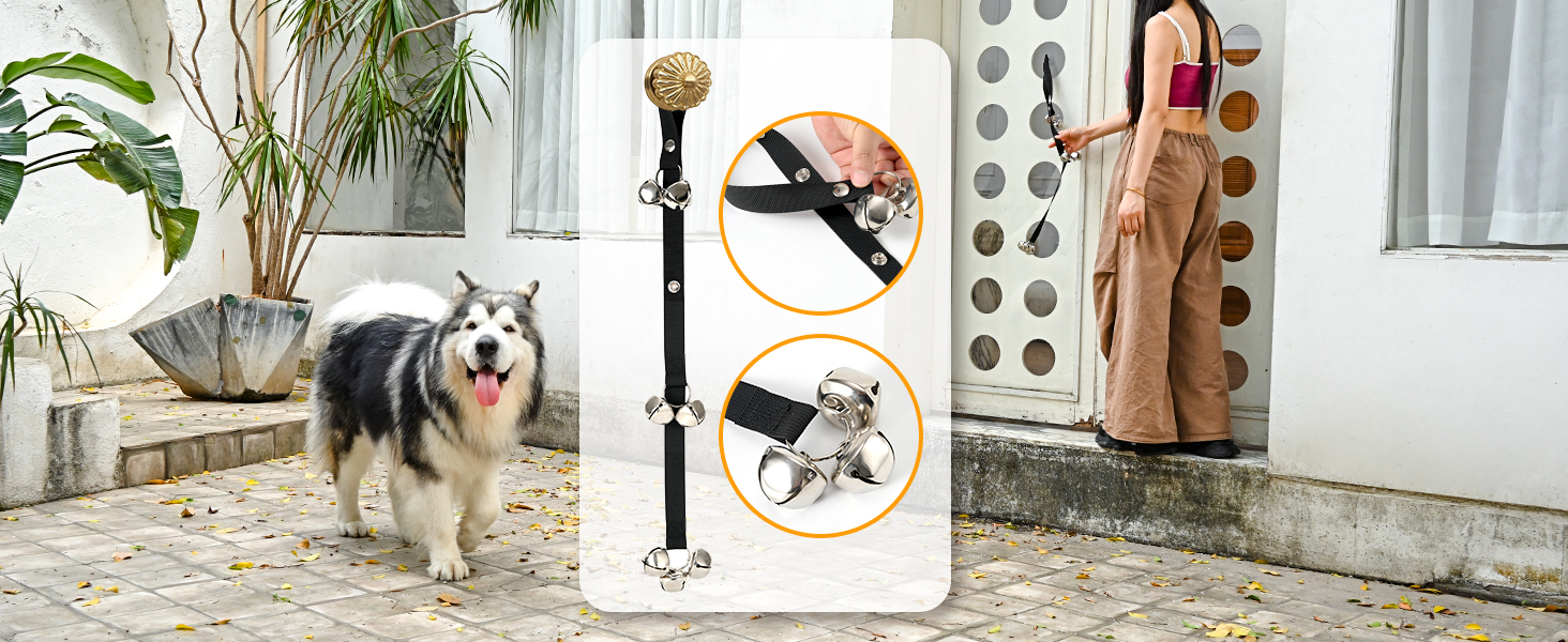 Alaskan dog at the door, owner is installing a dog bell