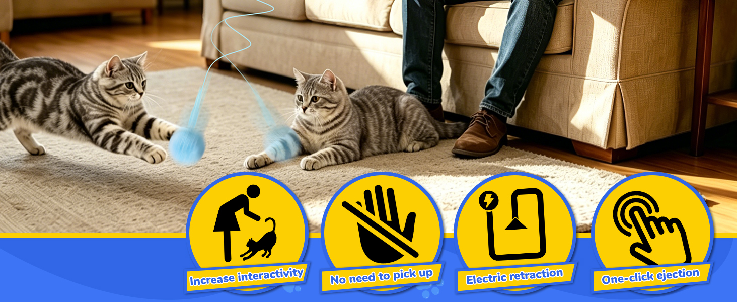 interactive cat toy
