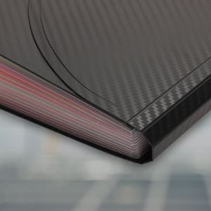 Check Size 13 Pocket Expanding File Folder
