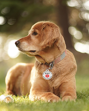 Double Sided Emotional Support Animal ESA Red Medical Alert Symbol and Protected by Federal Law