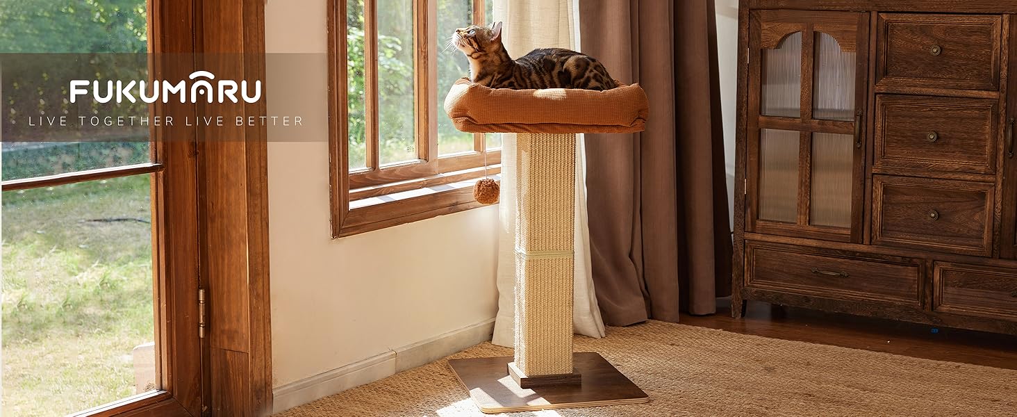 cat scratching post