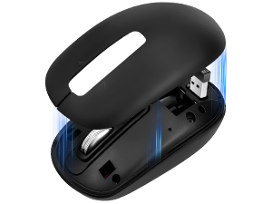 computer mouse