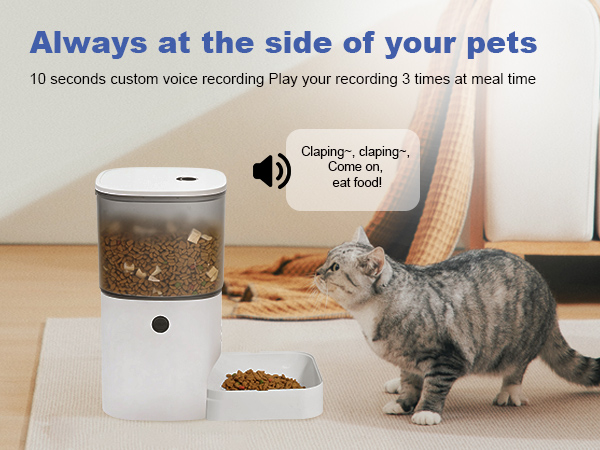 automatic cat feeder with voice call