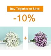 Yastouay 12 PCS White Babys Breath Artificial Flowers & 12 PCS Purple Babys Breath Artificial Flo...