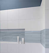 Fixed Shower Panel