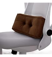Glyzia Lumbar Support Pillow for Office Chairs, Back Support Pillow for Lower Back Pain Relief, S...