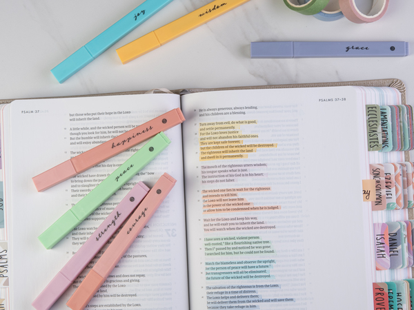 DiverseBee Highlighters Pastel