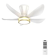 ceiling fan with light