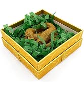 Laughing Smith Crappy Gift - Fake Poo Toy Prank in a Gift Box - Fun Gag Poop Gifts for Kids and A...
