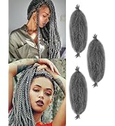 ADIASAI 3 Packs Grey Springy Afro Twist Hair with Crochet Hook, 16 Inch Pre-Separated Marley Croc...