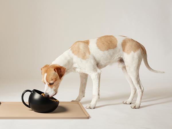 dog supplies food mat deals cat for dogs silicone and water bowl accessories pet stuff boot tray