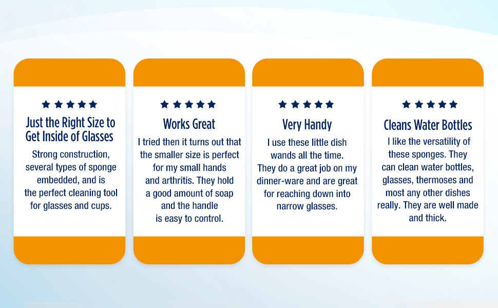 Dish Wand Plus Reviews