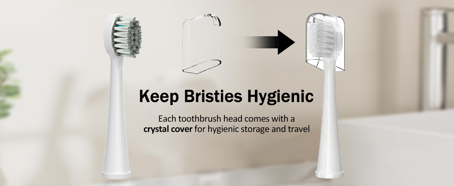 waterpik replacement heads