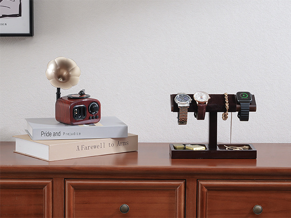 Watch organizer