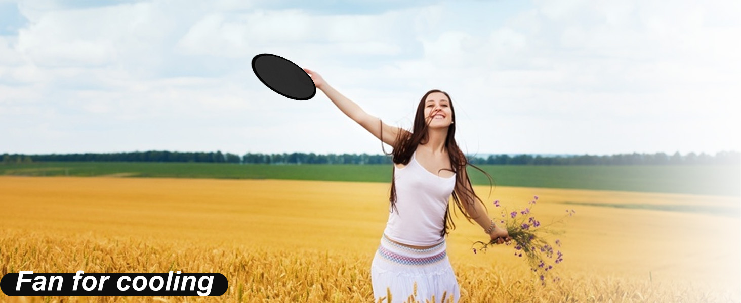 Flying Disc