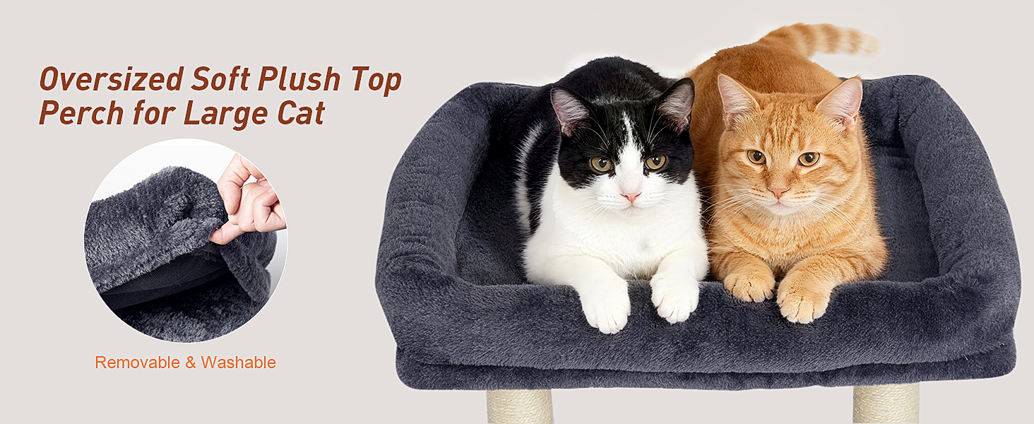 kinotai small cat tree indoor