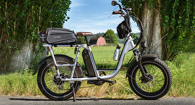 e-bike bag